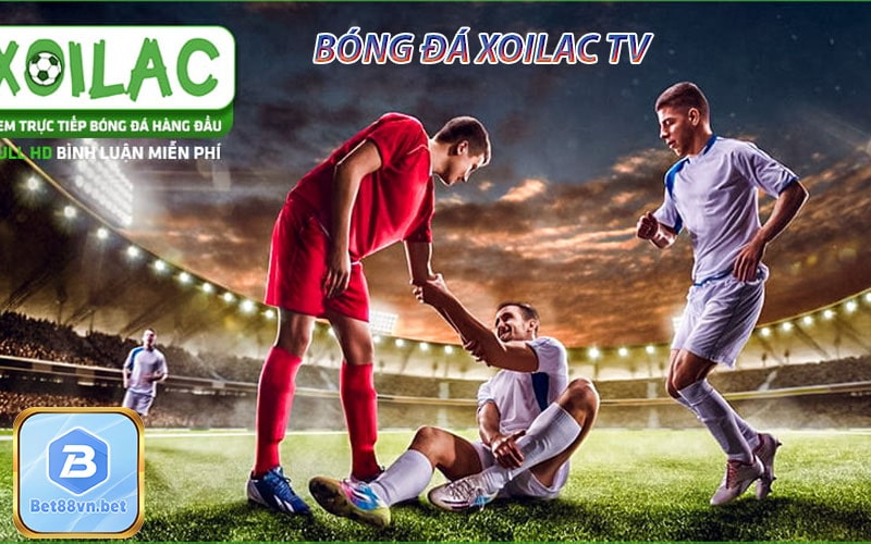 Xoilac tv